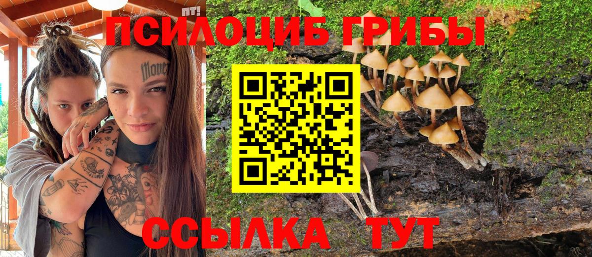 Галлюциногенные грибы мицелий Котлас