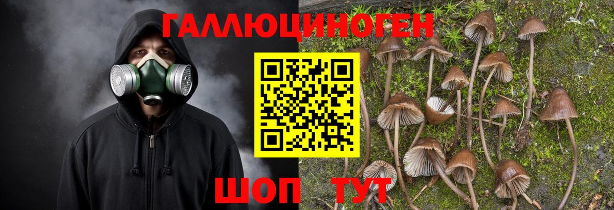 Псилоцибиновые грибы MAGIC MUSHROOMS  Вход с VPN  где найти наркотики  Котлас 