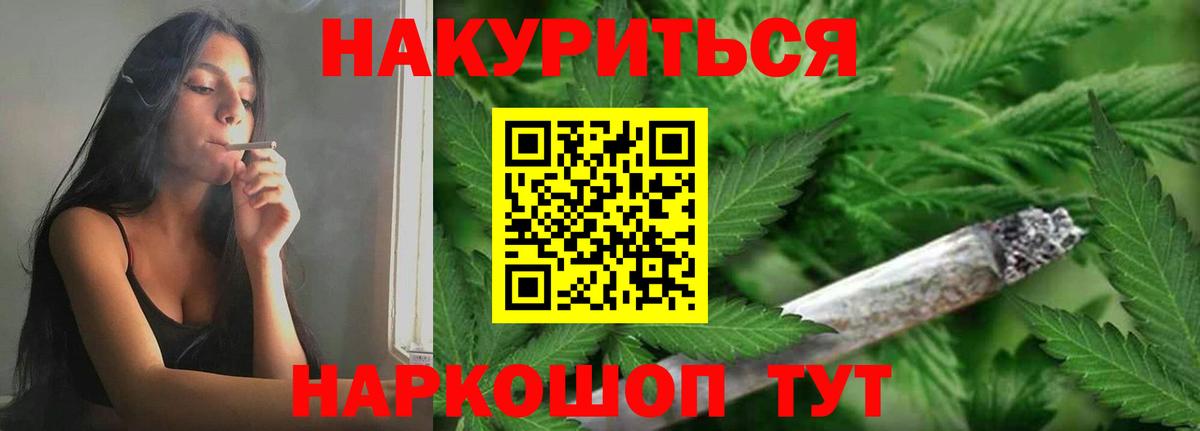 Бошки Шишки планчик Котлас